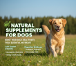 Natural Supplements for Dogs
