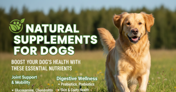 Natural Supplements for Dogs