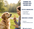 How to Train a Deaf Dog