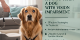Training Blind Dogs