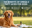 Benefits of Omega-3 Fatty Acids for Dogs