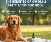 The Benefits of Omega-3 Fatty Acids for Dogs: Boost Health, Coat, and More