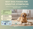 Best Dog Food for Sensitive Stomachs