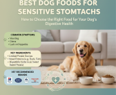 Best Dog Foods for Sensitive Stomachs: How to Choose the Right Food for Your Dog’s Digestive Health