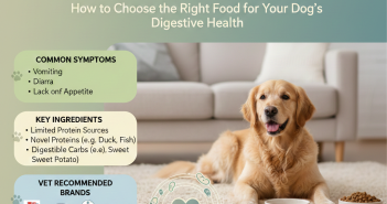 Best Dog Food for Sensitive Stomachs