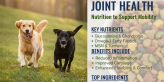 Best Dog Food for Joint Health