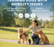 Training Dogs with Mobility Issues
