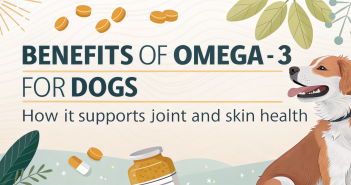Omega-3 for Dogs
