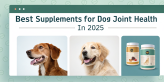 Best Joint Health Supplements for Dogs