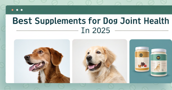 Best Joint Health Supplements for Dogs