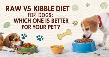Raw vs Kibble Dog Food