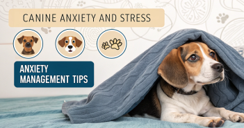 Dog Anxiety Signs