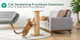 Stop Cat Scratching Furniture