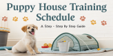 Puppy House Training Schedule